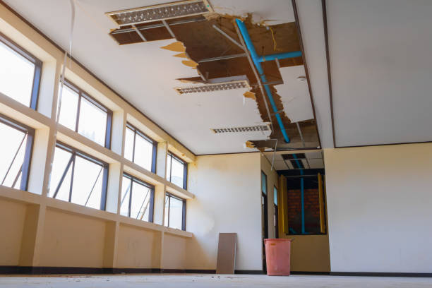 Best Water damage restoration near me  in Boalsburg, PA