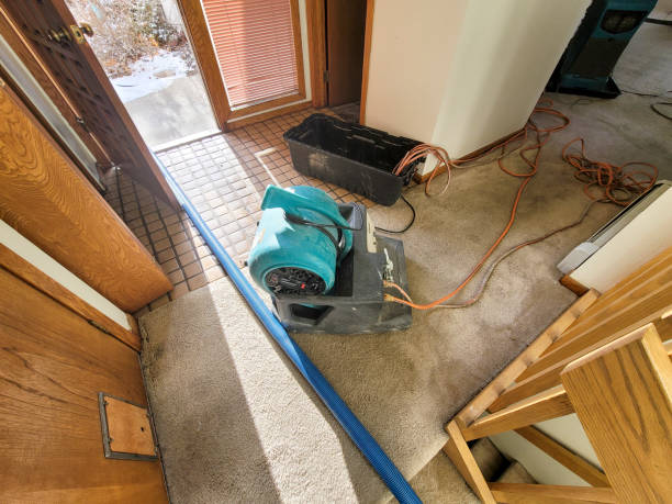 Best Professional water damage repair  in Boalsburg, PA