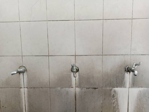 Best Carpet water damage restoration  in Boalsburg, PA
