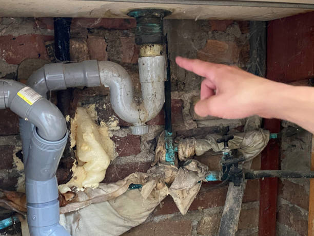 Best Local water damage restoration  in Boalsburg, PA