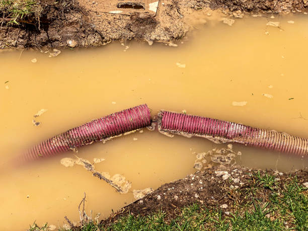 Best Water damage repair service  in Boalsburg, PA