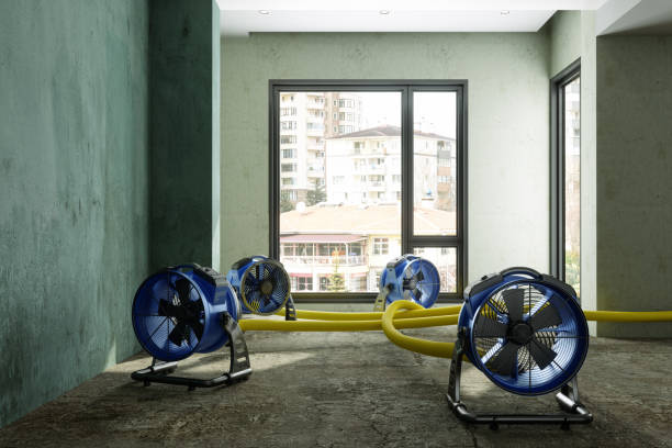 Best Water damage contractors near me  in Boalsburg, PA